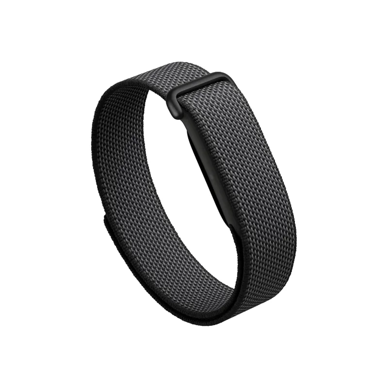 Google Fitbit Air b